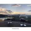 Függő fotel állvánnyal, átlátszó/ezüst/szürke, BUBBLE NEW TYP 2
