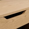 ALEC cipősszekrény 100 cm, tölgy/fekete